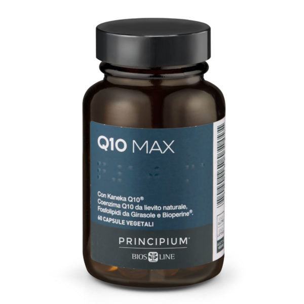 Principium Q10 Max